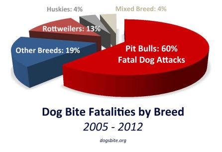 what percentage of dog attacks are by pit bulls